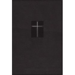 NIV Quest Study Bible...