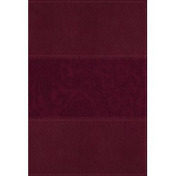 NIV Study Bible/Large Print...