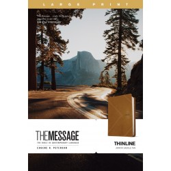 The Message Thinline...