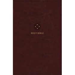 NRSVue Holy Bible  Updated...