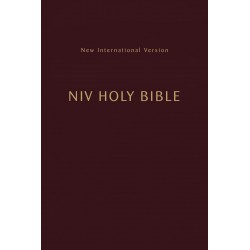 NIV Compact Holy Bible...