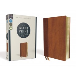 NIV Giant Print Compact...