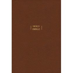 NIV Wide Margin Bible...