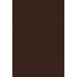 NRSVue Holy Bible With...