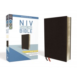 NIV Thinline Bible/Giant...