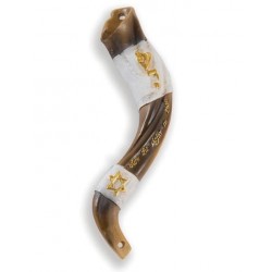 Mezuzah-Blow The Shofar In...