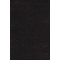 NRSVue Holy Bible  Updated...