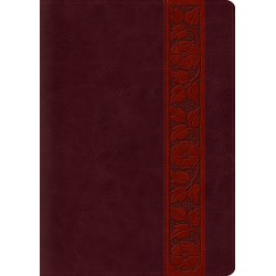 ESV Study Bible/Large...