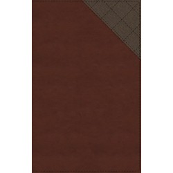 NIV Thinline Bible (Comfort...