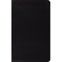 ESV Thinline Bible-Black...