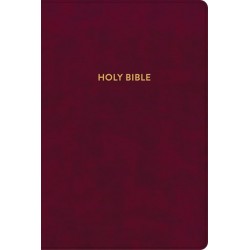 KJV Rainbow Study...