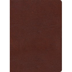 KJV Study Bible...