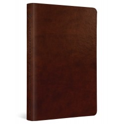 ESV New Testament With...