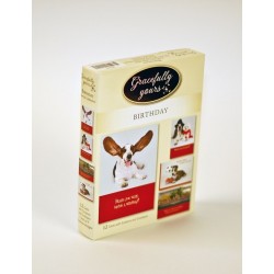 Card-Boxed-Birthday-Paws...