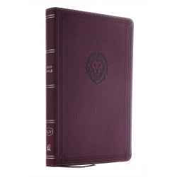 KJV Thinline Bible/Youth...