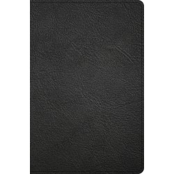 KJV Personal Size Giant...