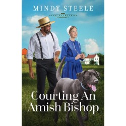 Courting An Amish Bishop