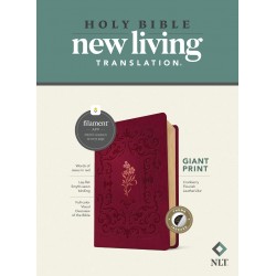NLT Giant Print Bible...
