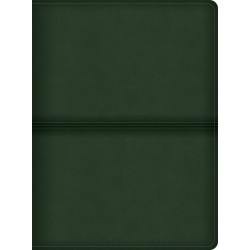 CSB Men's Daily Bible-Olive...