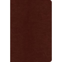 ESV Systematic Theology...