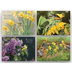 Card-Boxed-Shared...