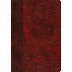 ESV Single Column...
