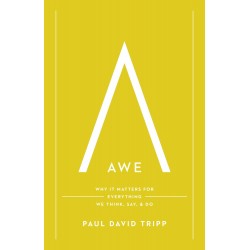 Awe (Repack)