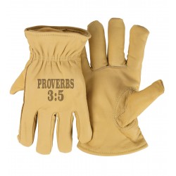 Gloves-3M...