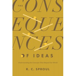 The Consequences Of Ideas