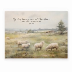 Canvas-My Sheep Hear My...