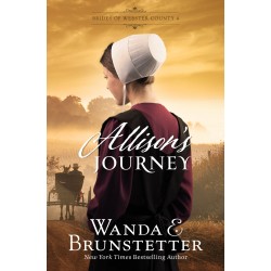 Allison's Journey (Brides...