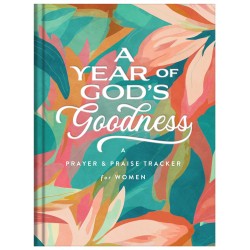 A Year Of God's Goodness