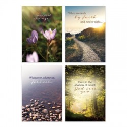 Boxed Card-Heartwarming...
