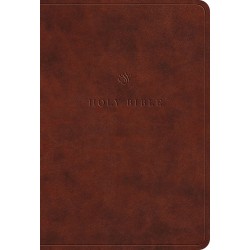 ESV Value Large Print...