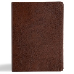 KJV Study Bible/Large Print...