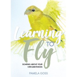 Learning to Fly