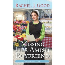 Missing Her Amish Boyfriend...