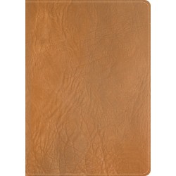 CSB He Reads Truth Bible...