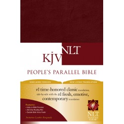 KJV/NLT People's Parallel...