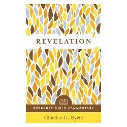 Revelation (Everyday Bible...