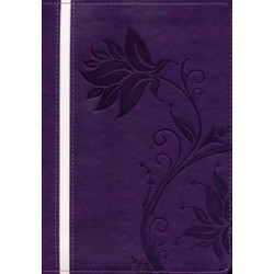 Span-RVR 1960 A Woman After...